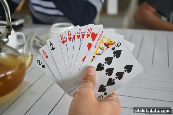 pt电子游戏视角下的桌游智慧：角色搭配与策略博弈全解析
