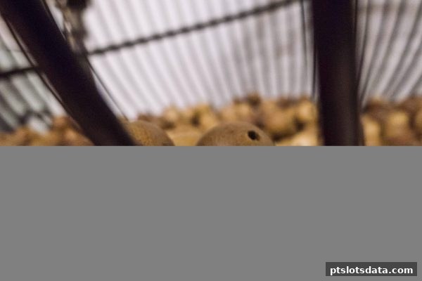 pt电子游戏玩家指南：彩票趋势分析的底层逻辑与实操技巧
