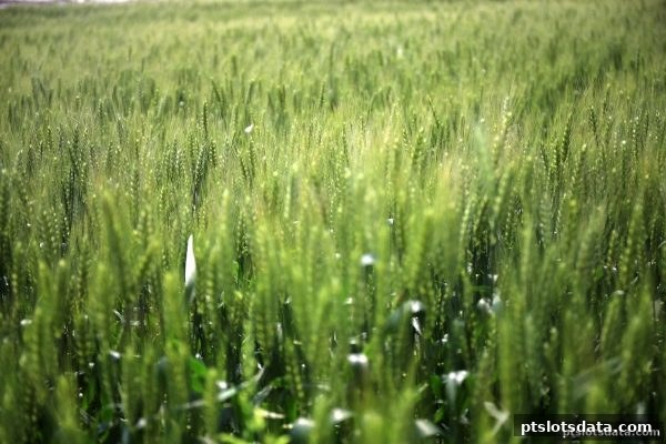 pt电子游戏深度解析：波音百家乐洗码返利到账全攻略